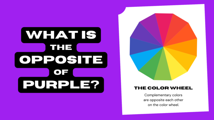Opposite of purple